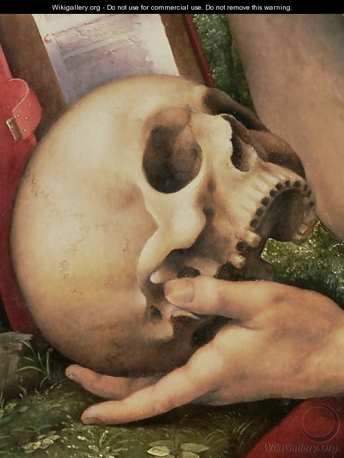 St. Jerome (detail of the skull) - Cesare da Sesto