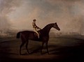 Portrait of Bruitandorf with jockey up and Chester Racecourse Beyond - Daniel Clowes