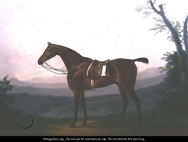 Portrait of a Race Horse - Daniel Clowes