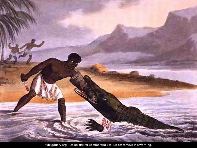 The African Crocodile Hunters, 1813 - John Heaviside Clark (after)