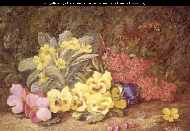Roses and Primroses - Vincent Clare