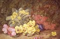 Roses and Primroses - Vincent Clare