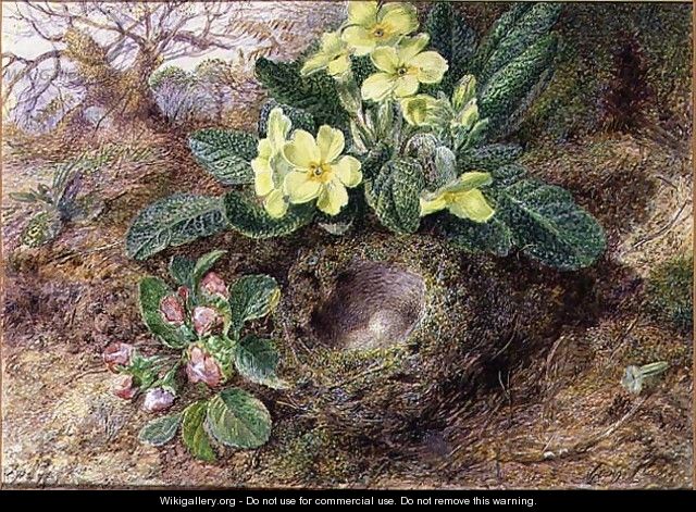 Still Life with Primroses and Birds Nest - George Clare