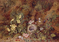 Still Life with Bird's Nest and Wild Flowers - George Clare