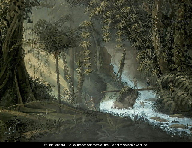 Brazilian Forest - Charles Comte de Clarac