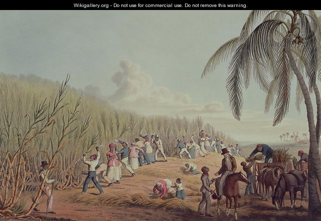 Slaves Fell the Ripe Sugar, Antigua, 1823 - William Clark