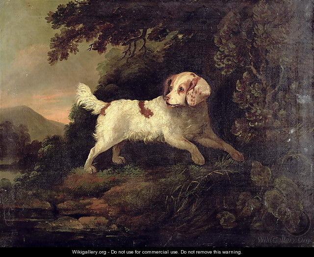 Study of Clumber Spaniel in Wooded River Landscape - Edward Cooper