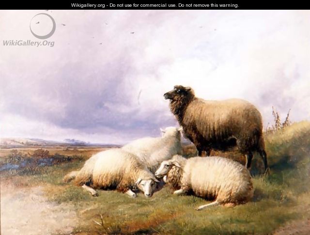 Sheep in a Landscape, 1894 - Thomas Sidney Cooper