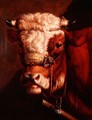 Portrait of a Bull's Head - Thomas Sidney Cooper