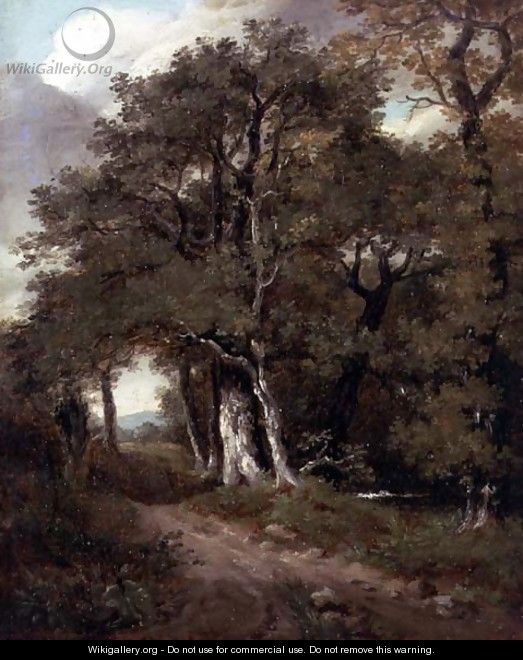 A Wooded Path - John Constable