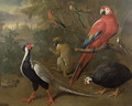 Pheasant, Macaw, Monkey, Parrots and Tortoise - Charles Collins