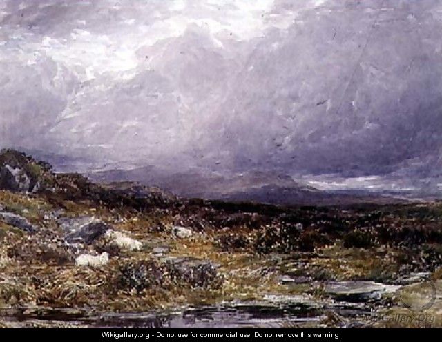 On the Siabod Flats, North Wales - Thomas Collier