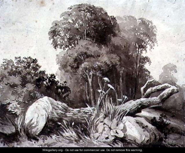 A Felled Tree - Thomas Collier A Felled Tree - Thomas Collier