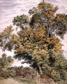 Study of an Oak Tree - Thomas Collier