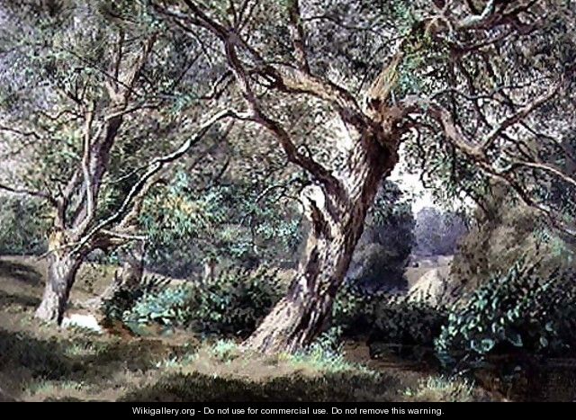 Study of Willow Trees by a Stream - Thomas Collier Study of Willow Trees by a Stream - Thomas Collier