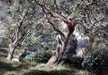 Study of Willow Trees by a Stream - Thomas Collier