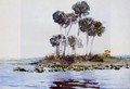 St. John's River, Florida I - Winslow Homer