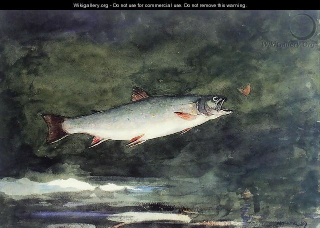 Leaping Trout II - Winslow Homer
