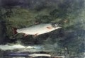 Leaping Trout II - Winslow Homer