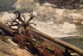 Burnt Mountain - Winslow Homer