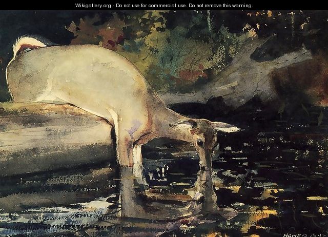 Deer Drinking - Winslow Homer