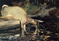 Deer Drinking - Winslow Homer