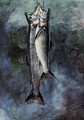 Two Trout I - Winslow Homer