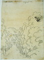 Woodland, from an album of tracings - John Robert Cozens