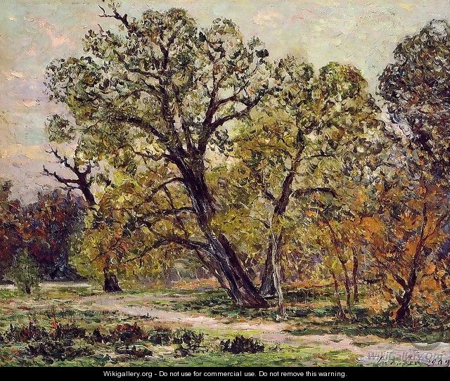 Autumn, Fontainebleau Forest - Maxime Maufra