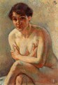 Nude Woman - Theo van Rysselberghe