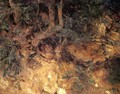 Valdemosa, Majorca: Thistles and Herbage on a Hillside - John Singer Sargent