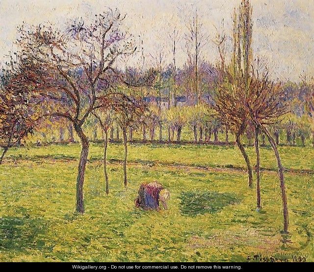 Apple Trees in a Field - Camille Pissarro
