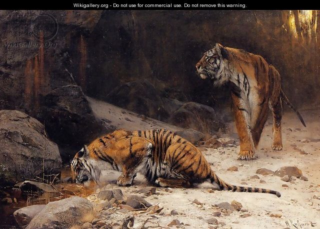 Tigers at a Drinking Pool - Wilhelm Kuhnert