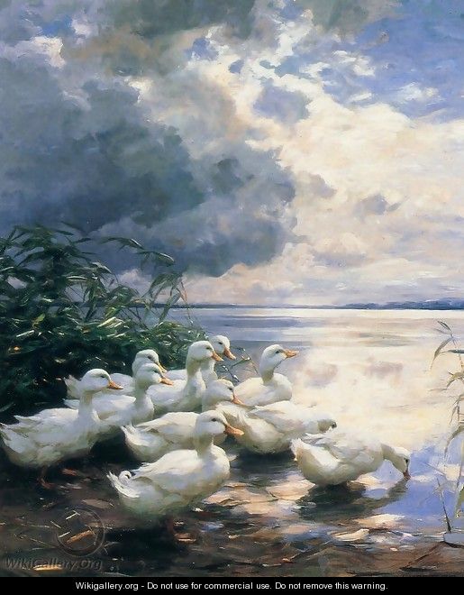 Ducks in the Morning - Alexander Max Koester
