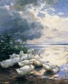 Ducks in the Morning - Alexander Max Koester