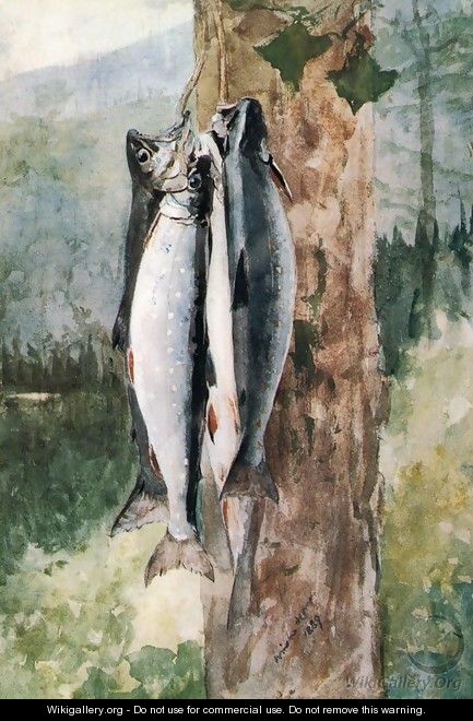 Adirondack Catch - Winslow Homer