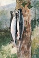 Adirondack Catch - Winslow Homer