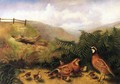 Landscape with Quail - Cock, Hen and Chickens - Rubens Peale