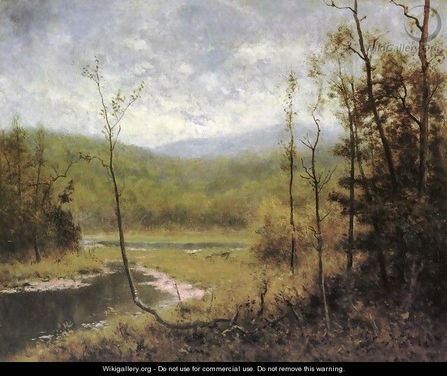 Quiet Stream, Adironcack Mountains - Alexander Helwig Wyant
