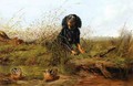 Cocker Spaniel and Woodcock - Arthur Fitzwilliam Tait