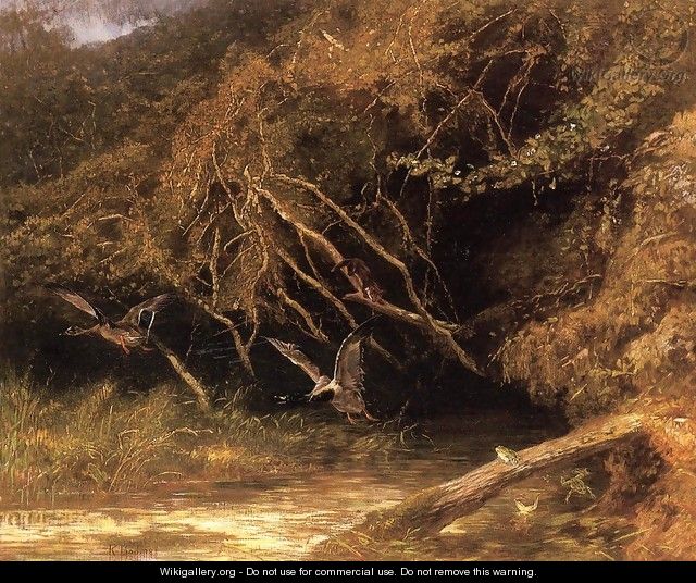 Forest with Ducks and Frogs - Karl Bodmer
