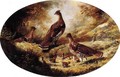 Grouse Family - Ferdinand Richardt