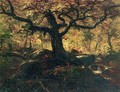 Tree in the Catskills - Thomas Cole