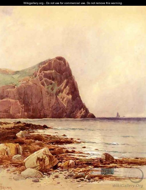 Rocky Coast - Alfred Thompson Bricher