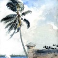 A Tropical Breeze, Nassau - Winslow Homer