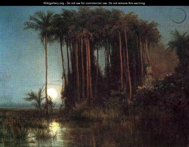 Moonlight over a Marsh in Ecuador - Louis Remy Mignot