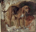 Study of a Bloodhound - William Holman Hunt
