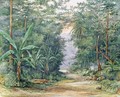 The Blue Mountains Jamaica - Admiral Sir Edward Augustus Inglefield