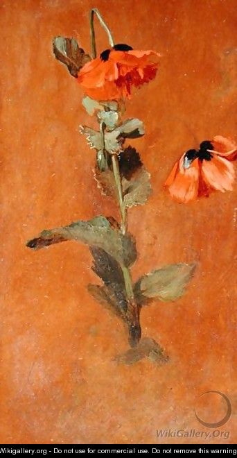 Study of Poppies - James Inskipp