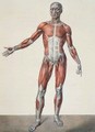 Anatomy of the human body 2 - (after) Jacob, Nicolas Henri
